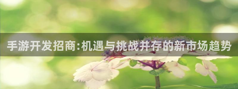 如何玩庄闲：手游开发招商:机遇与挑战并存的新市场趋势