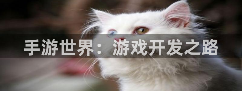 庄闲游戏规则：手游世界：游戏开发之路