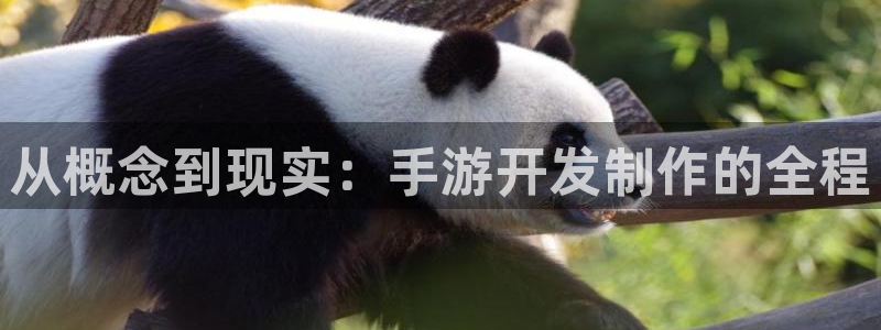 庄闲和规则怎么看输赢