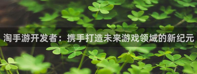 庄闲游戏规则：淘手游开发者：携手打造未来游戏领域的新纪元