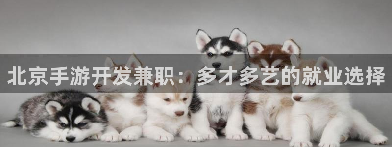 庄闲和的玩法怎么赢：北京手游开发兼职：多才多艺的就业选择
