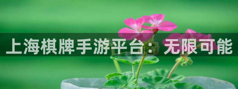 真人庄闲游戏官网：上海棋牌手游平台：无限可能