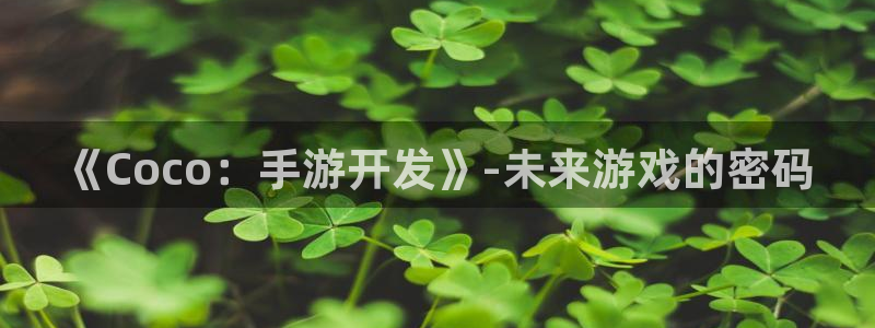 庄闲是什么玩法,澳门：《Coco：手游开发》-未来游戏的密码