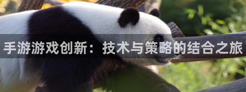 庄闲推算软件app下载：手游游戏创新：技术与策略的结合之旅