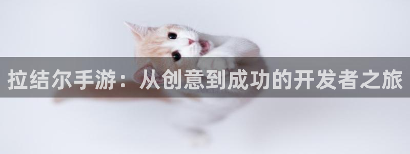 庄闲游戏官方版游戏特色：拉结尔手游：从创意到成功的开发者之旅