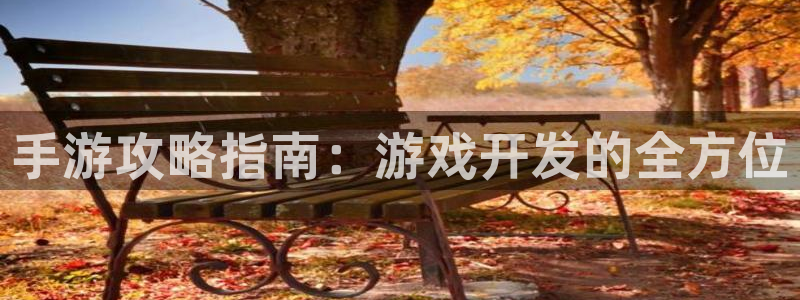 庄闲玩法补牌规则：手游攻略指南：游戏开发的全方位