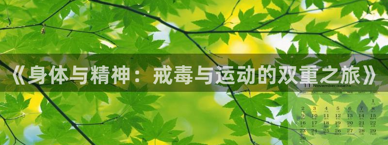 菲律宾ug环球官网：《身体与精神：戒毒与运动的双重之旅》