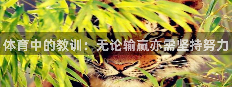ug环球官网：体育中的教训：无论输赢亦需坚持努力