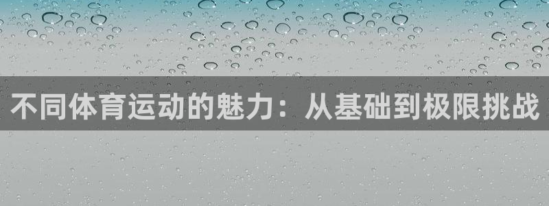 ug环球官网注册：不同体育运动的魅力：从基础到极限挑战