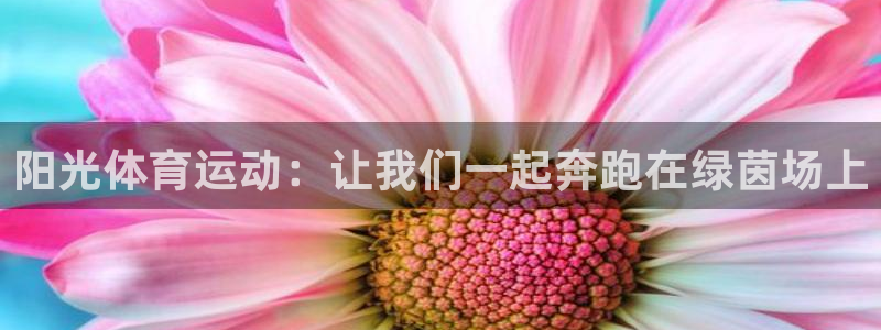 ug环球官网注册：阳光体育运动：让我们一起奔跑在绿茵场上