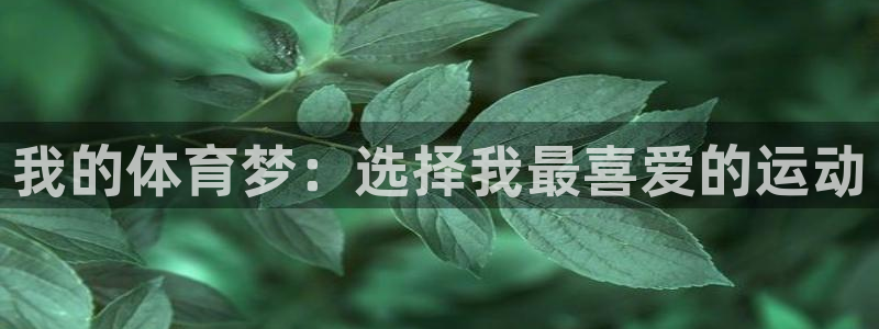 菲律宾ug环球官网：我的体育梦：选择我最喜爱的运动