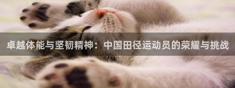ug环球官网：卓越体能与坚韧精神：中国田径运动员的荣耀与挑战