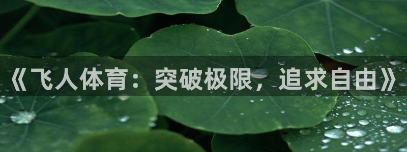 ug环球官网注册：《飞人体育：突破极限，追求自由》
