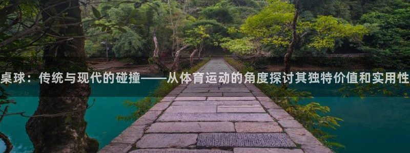 ug环球官网登录入口：桌球：传统与现代的碰撞——从体育运动的角度探讨其独特价值和实用性