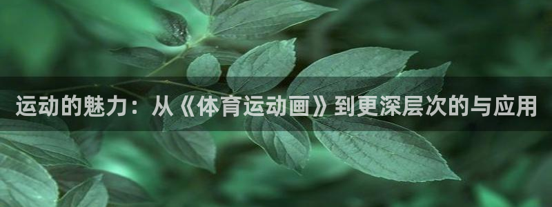 ug环球官网登录入口：运动的魅力：从《体育运动画》到更深层次的与应用