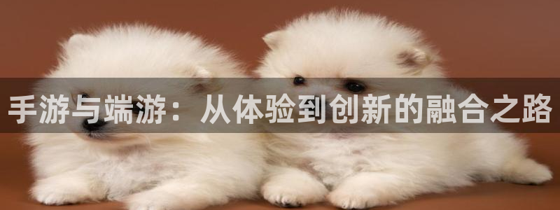 庄闲和游戏机有大满贯吗:手游与端游:从体验到创新的融合之路