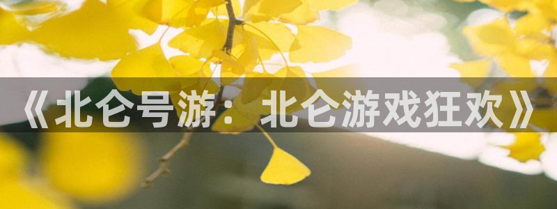 庄闲是什么形状:《北仑号游:北仑游戏狂欢》