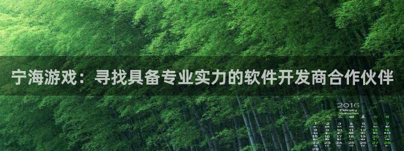 庄闲和补牌规则视频：宁海游戏：寻找具备专业实力的软件开发商合