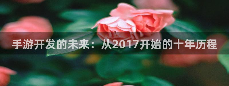 庄闲稳赢方法：手游开发的未来：从2017开始的十年历程